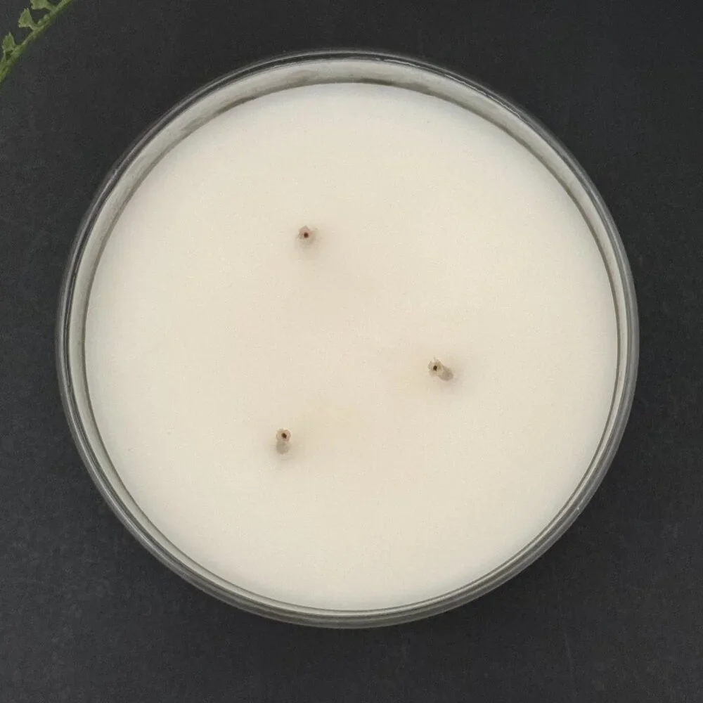 BBW Frozen Lake Bath & Body Works 3 Wick Candle - Picture 7 of 10
